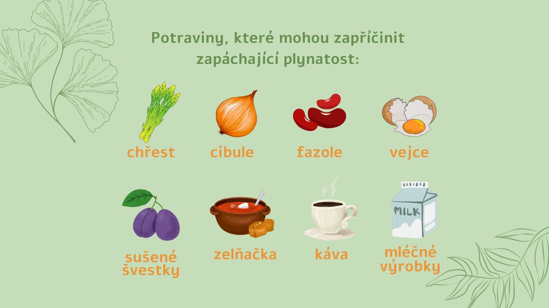 CZ - potraviny_spôsobujúce_plynatosť